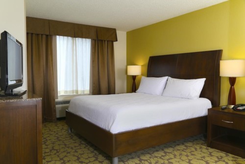 1 King Bed 1 Bedroom Deluxe Suite + 1 King Bed with Sofabed at Hilton Garden Inn Tampa East/Brandon