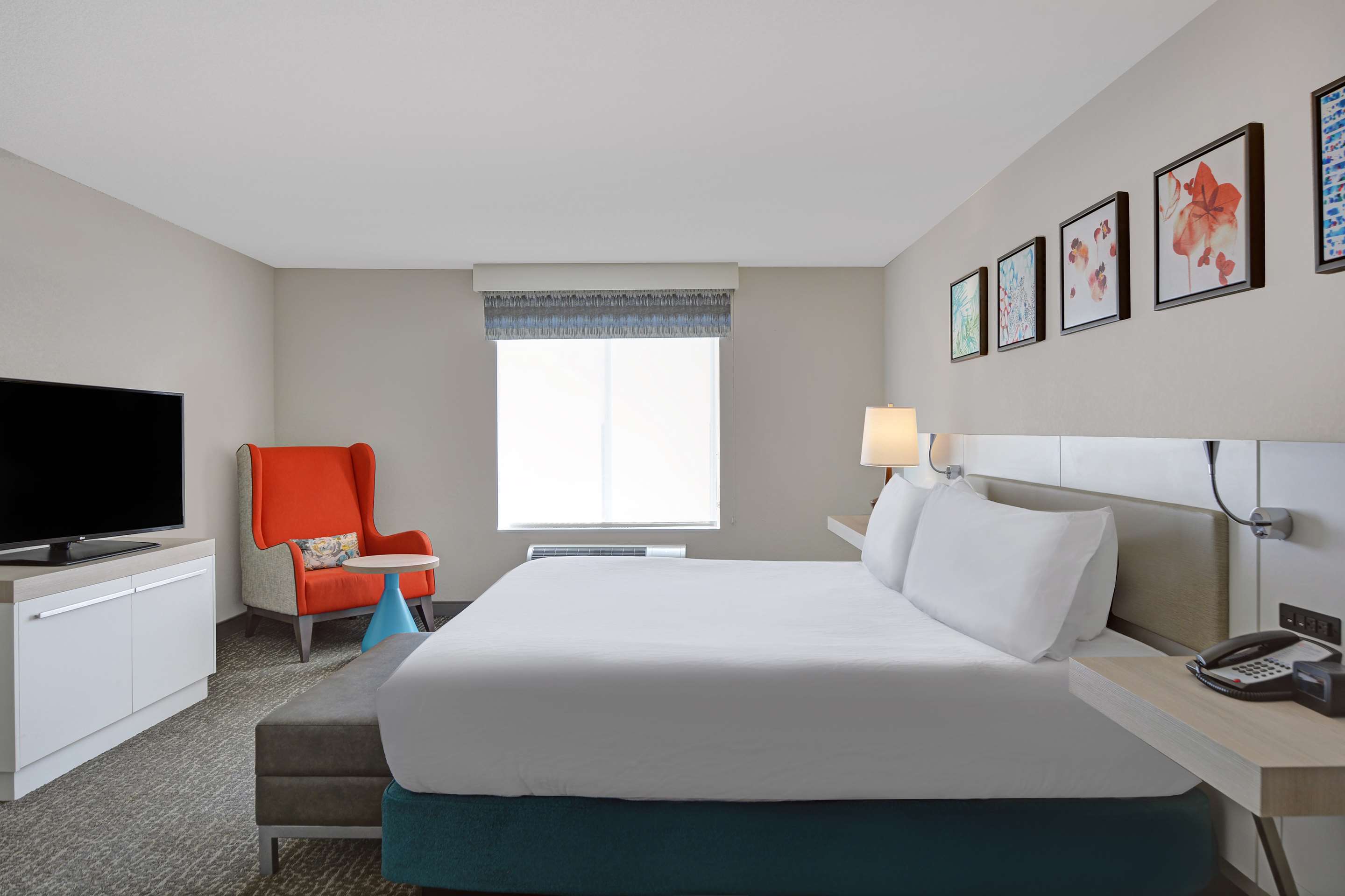 1 King 1 Bedroom President Suite — main photo