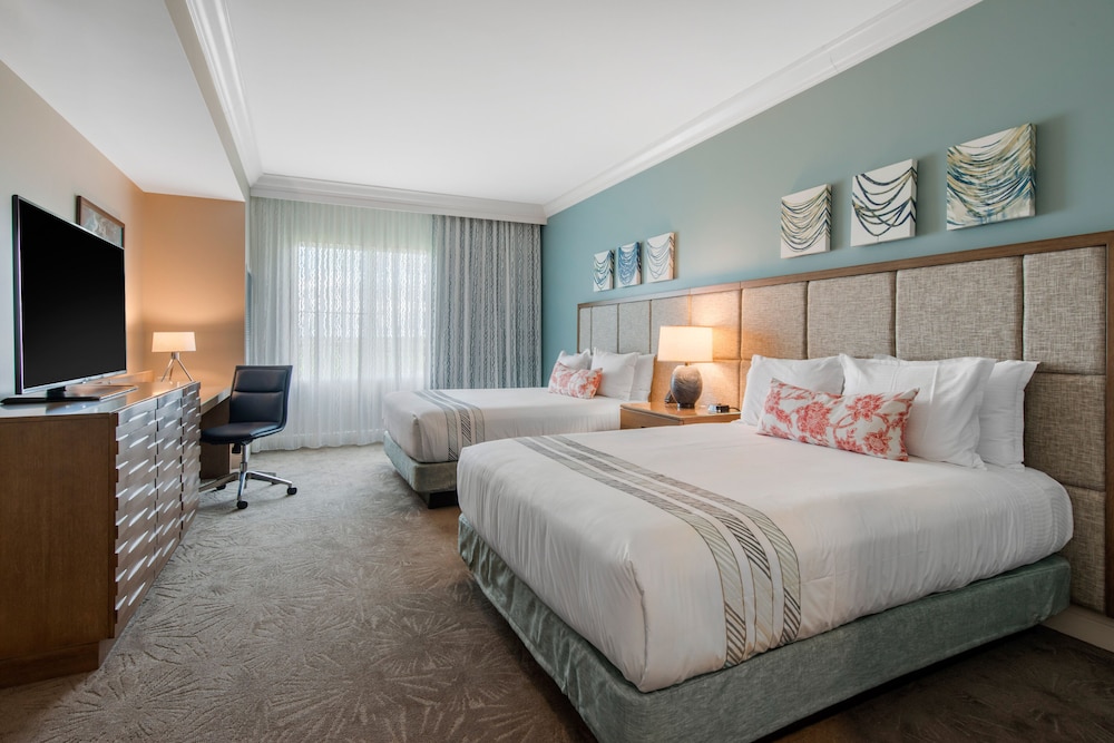 Studio Suite (Sunset Lodge) — photo 3